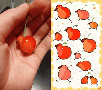 Hand Holding Cherry Beside Cherry Birds Drawing GIF