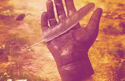Hand Holding Feather GIF
