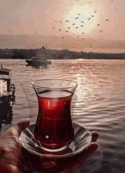 Hand Holding Glass Of Red Liquid By Water GIF