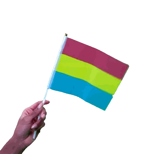 Hand Holding Pansexual Flag Sticker