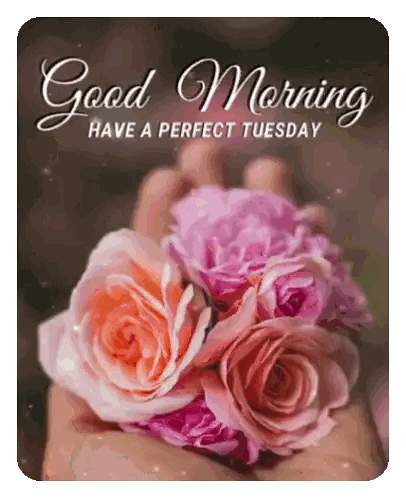 Hand Holding Pink Roses Good Morning Sticker