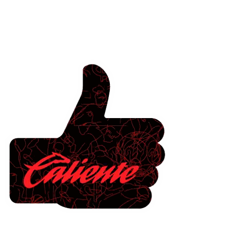 Hand Holding Playing Cards Caliena Sticker