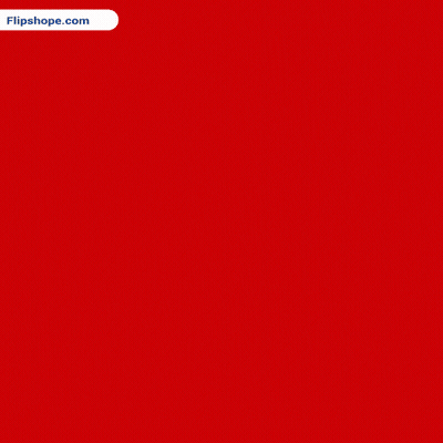 Hand Holding Red Roses Bouquet With Flipshope.com Logo GIF