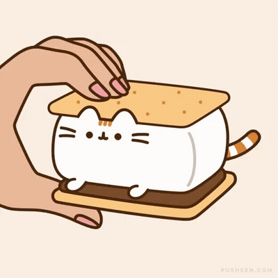 Hand Holding S'mores With Cat GIF