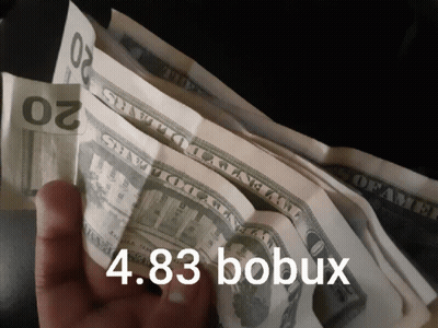 Hand Holding Stack Of 20 Dollar Bills With 4.84 Bobux GIF