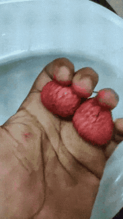 Hand Holding Two Red Balls GIF