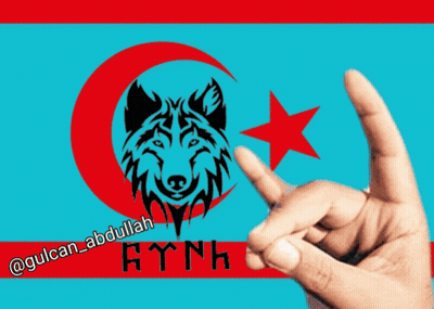 Hand Making Peace Sign In Front Of Flag GIF