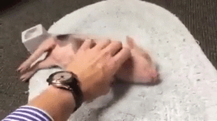 Hand Massage And Squeal Like A Pig GIF