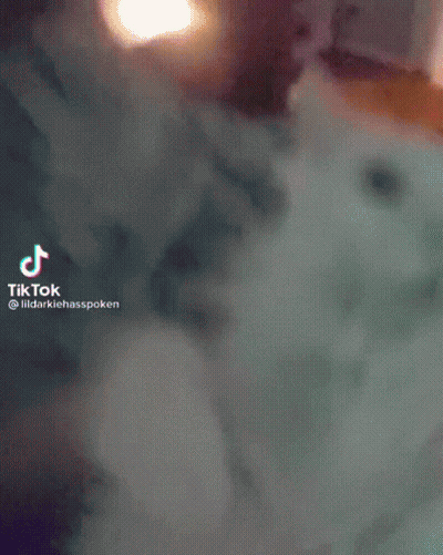 Hand On Purple Background With TikTok Watermark GIF