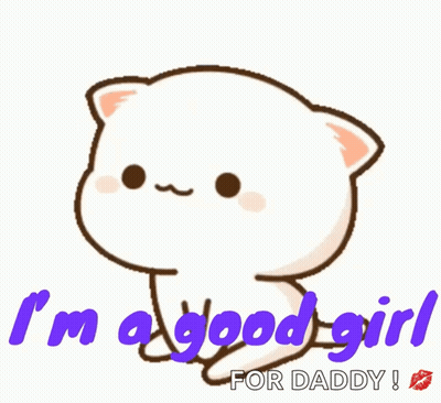 Hand Petting White Cat's Head GIF