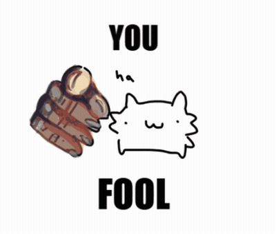 Hand Pointing At Cat Saying You Fool GIF