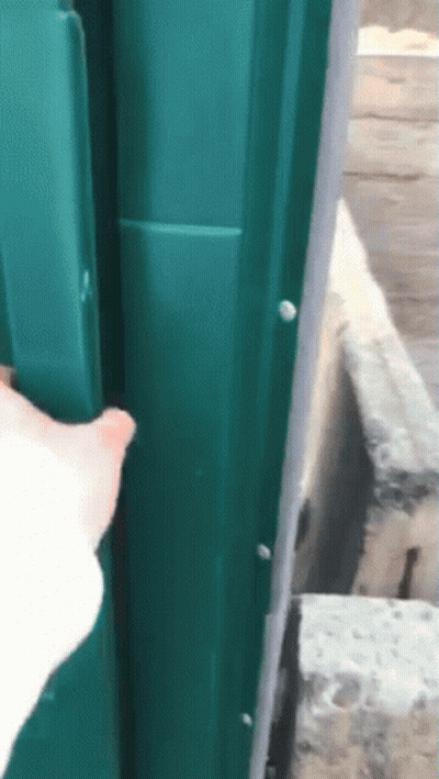 Hand Reaching Into Green Door GIF