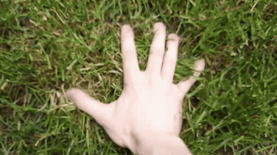 Hand Reaching Toward Green Grass GIF