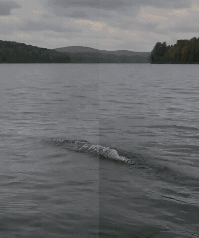 Hand Sticking Out Water Giving Middle Finger GIF
