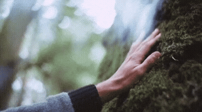 Hand Touching Mossy Rock GIF