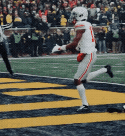 Hand Touching Mossy Rock GIF