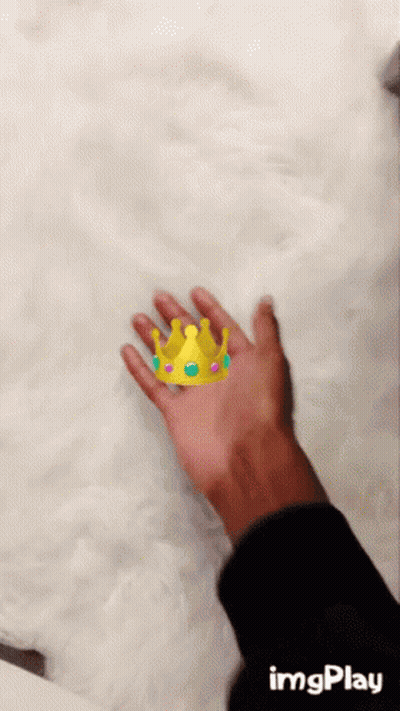 Hand With Crown Imgplay GIF
