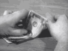 Hands Counting Money Fast GIF