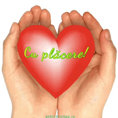 Hands Holding Red Heart With Cu Placere Sticker