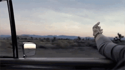 Hands In The Air Road Trip Meme GIF