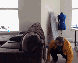 Hands Up Surprise Cat GIF