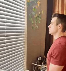 Handsome Boy Looking Out The Window GIF