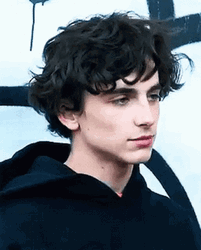 Handsome Guy Timothée Chalamet GIF