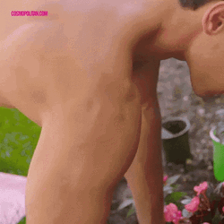Handsome Man Gardening Flowers