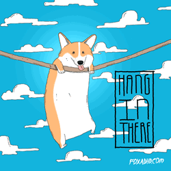 Hang In There Animated Corgi Dog GIF