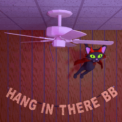 Hang In There Black Cat Animation GIF