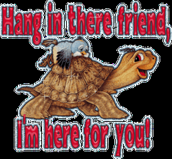 Hang In There Friend Turtle Visual Art GIF