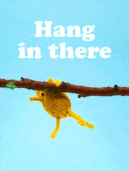 Hang In There Stop Motion Cat  GIF