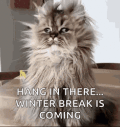 Hang In There Winter Is Coming GIF