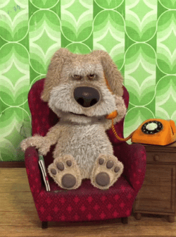 Hang Up I'm Not Your Pet GIF
