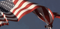 Hanging Usa Flag  GIF