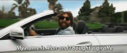 Hangover Alan Bought Giraffe For Mr Chow GIF
