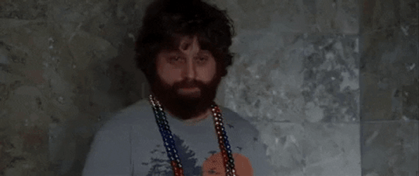 Hangover Alan Stupid Tiger Of Mr Chow GIF