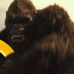 Hangry Grumpy Gorilla Going Ballistic GIF
