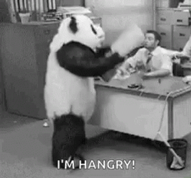 Hangry Panda Flipping Out GIF