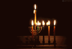 Hanukkah GIF