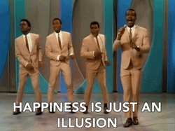 Happiness Is Just An Illusion When Keeping It Real Goes Wrong GIF