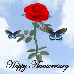 Happy 10Th Anniversary Beautiful Red Rose GIF
