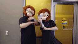 Happy 16Th Birthday Monkey Heads Driver's License GIF