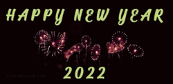 Happy 2022 New Year Fireworks GIF