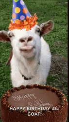 Happy 40Th Birthday Licking Goat GIF