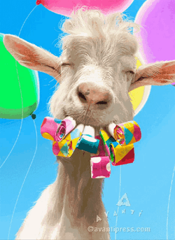 Happy 40Th Birthday Partying Goat GIF