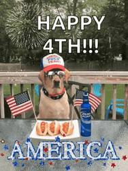 Happy 4Th American Dog GIF