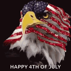 Happy 4Th American Eagle GIF