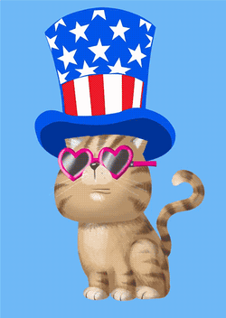 Happy 4Th Cartoon Cat Patriotic Hat GIF