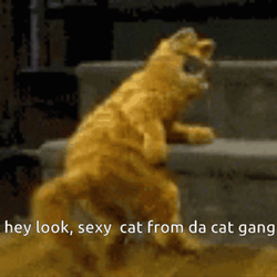 Happy 4Th Cat Garfield Dancing GIF